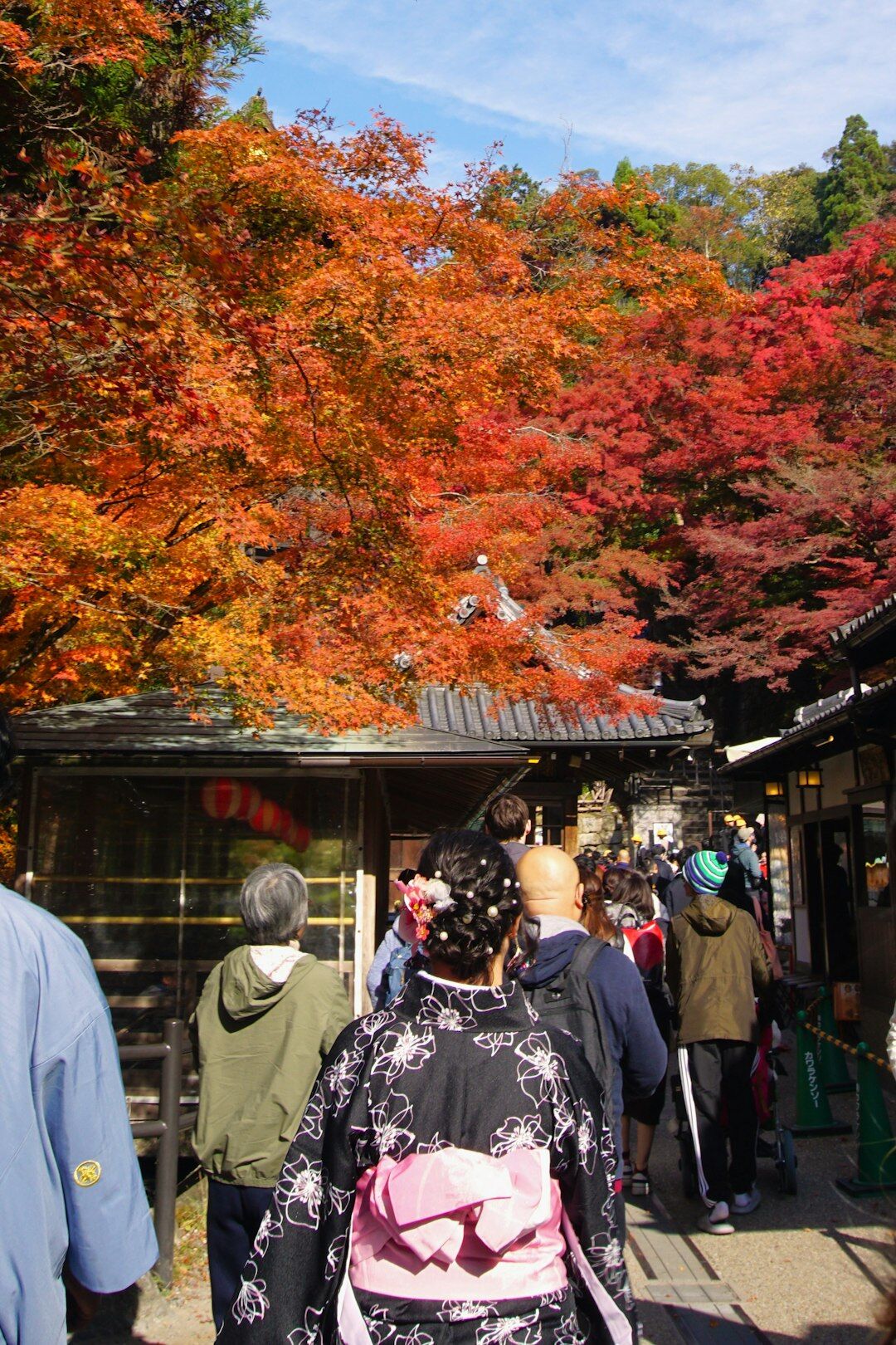 Japanese senior tourists in front of a Kyoto temple with autumn leaves