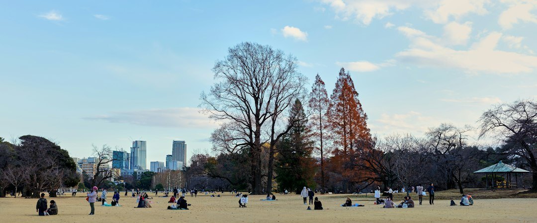 Japanese senior group practicing tai chi in a park