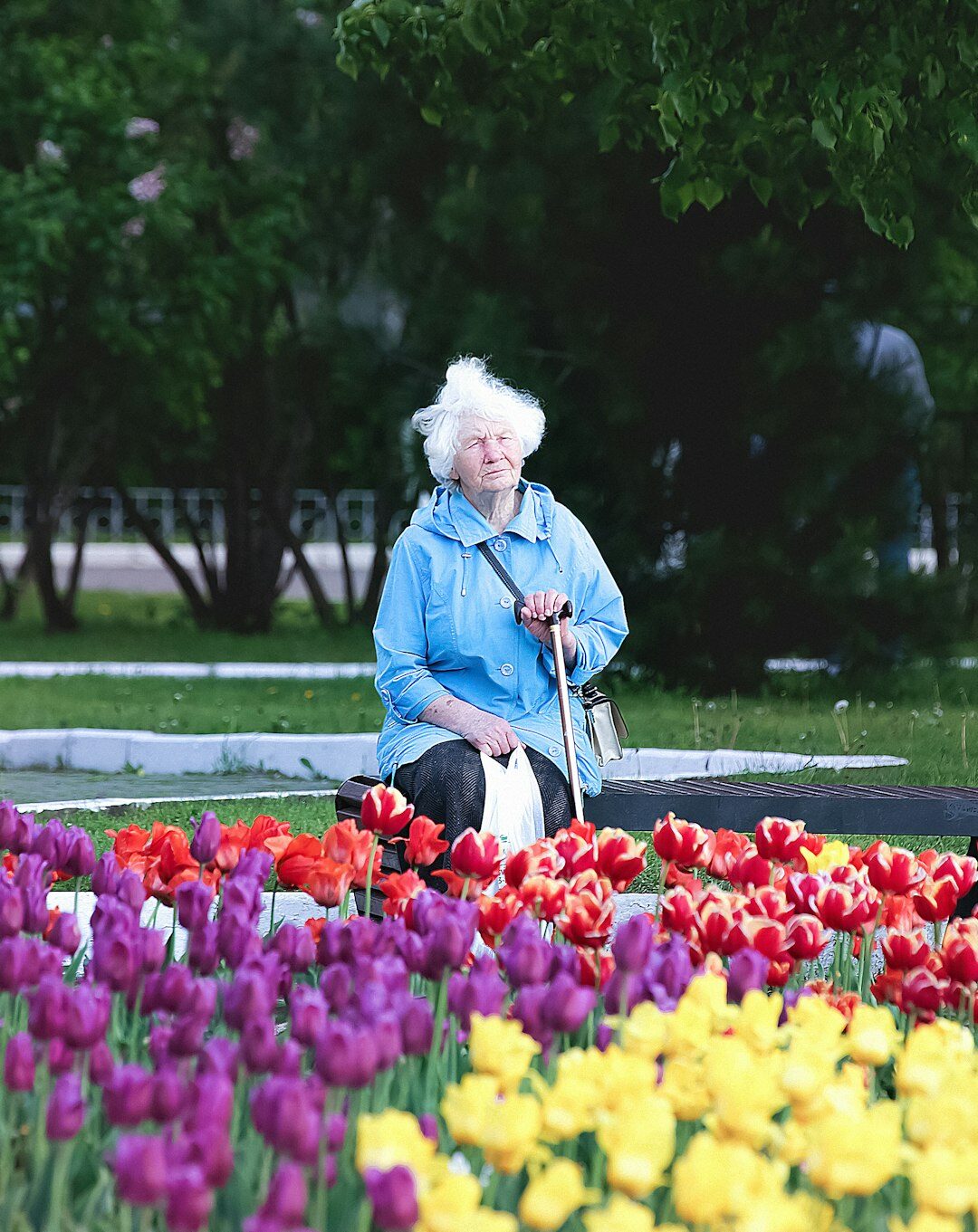 seniors doing gardening