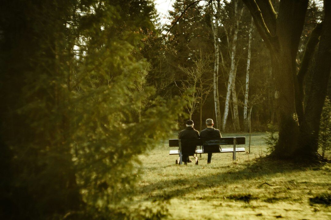elderly friends chatting in park